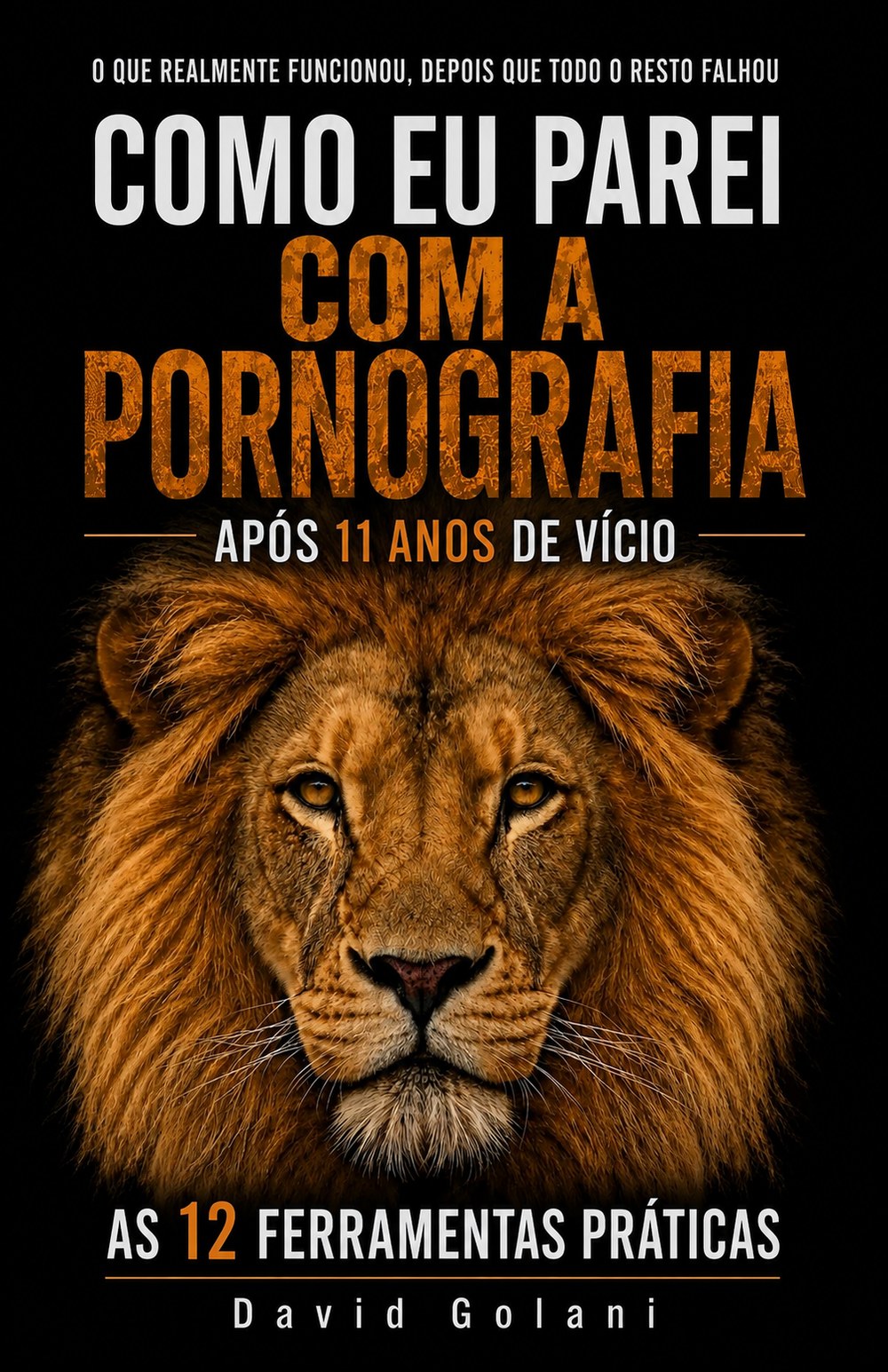 Capa do livro: Como Eu Parei com a Pornografia após 11 anos de vício — As 12 Ferramentas Práticas, de David Golani.